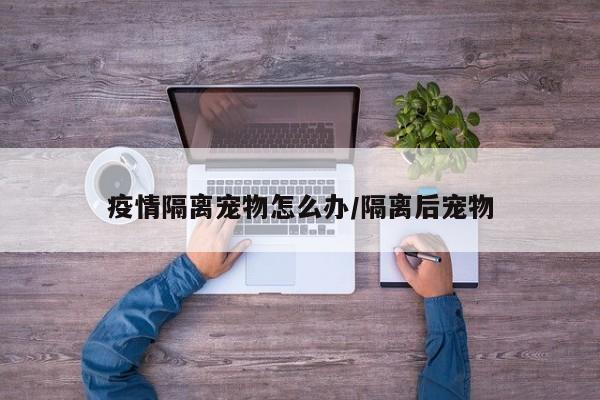 疫情隔离宠物怎么办／隔离后宠物